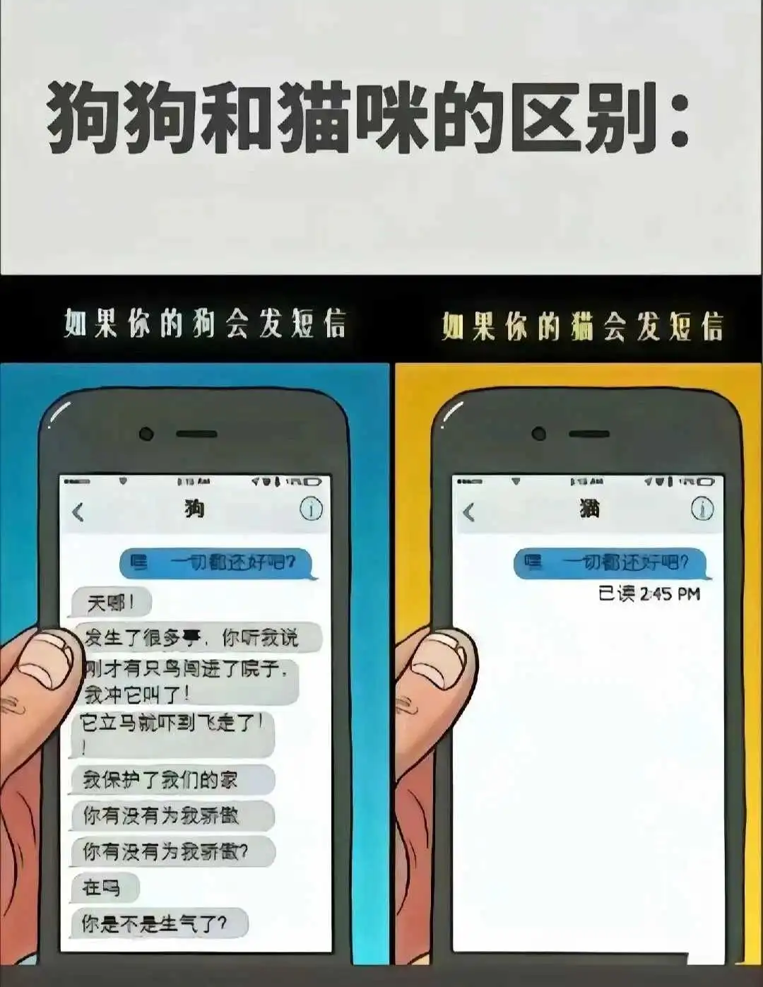 西檬之家s属性解析:字母圈新人必备的理解与实践指南 一