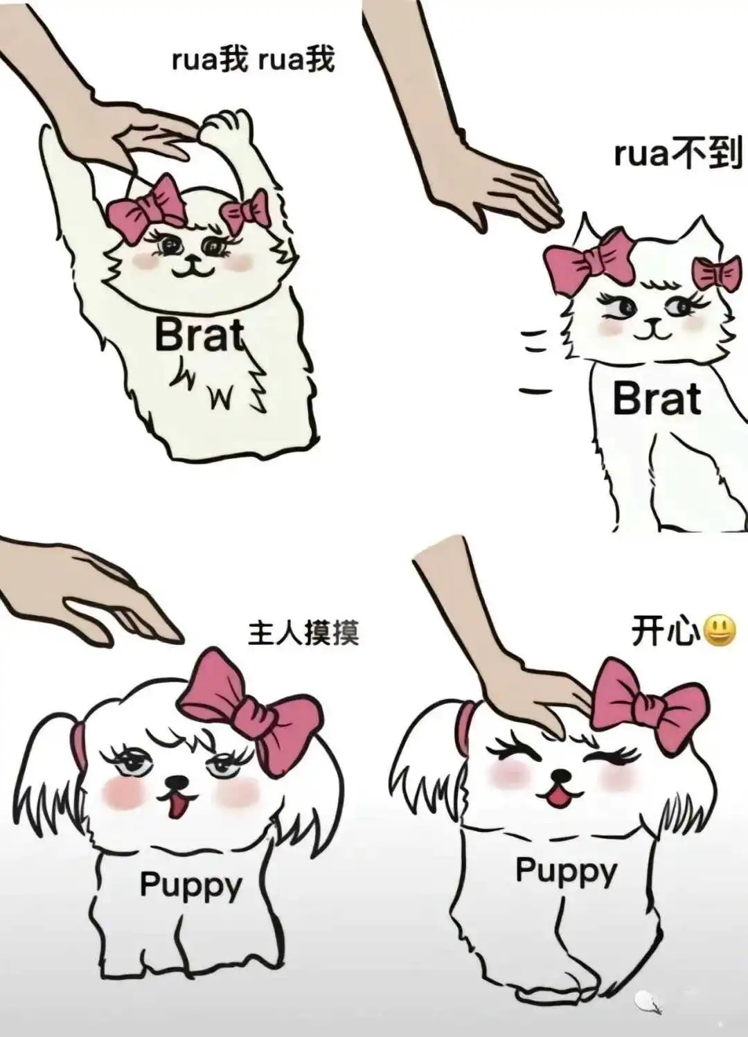 西檬之家探索字母圈的小圈:你了解它的魅力与规则吗? 一