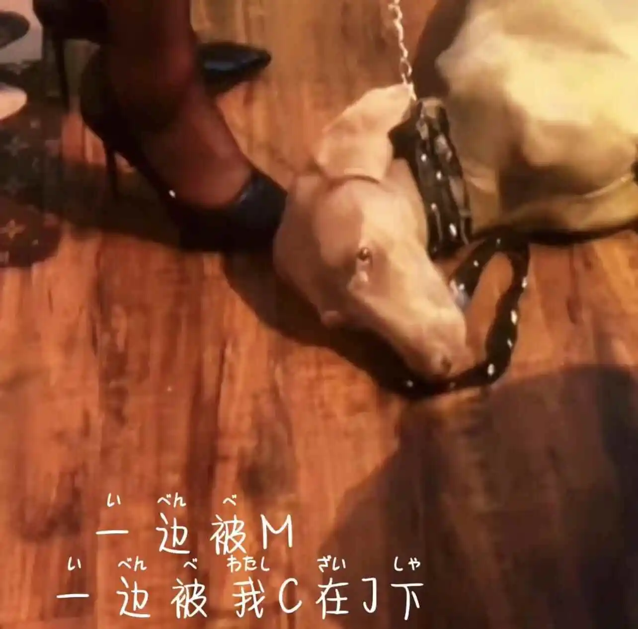 西檬之家ddlg是什么?字母圈新人必知的属性解析 一