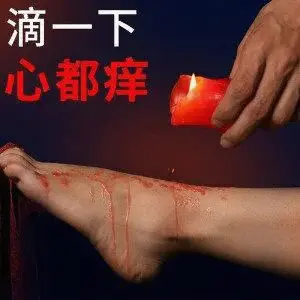 西檬之家k8是什么?揭开字母圈背后的神秘面纱 一