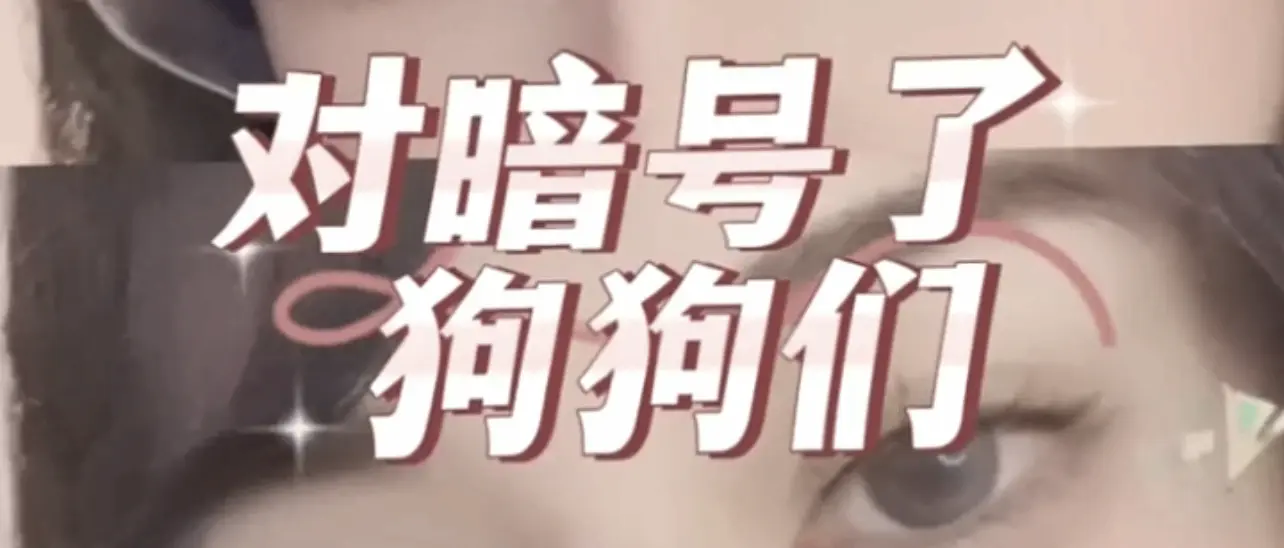 西檬之家K9是什么?字母圈新人必知的关键术语解析 一