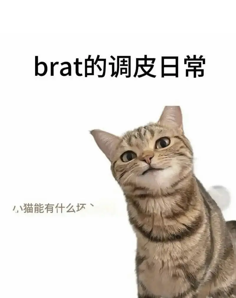 西檬之家BDSM入圈新人须知 一