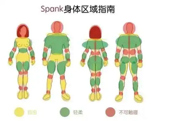 西檬之家brat属性是什么?你的字母圈属性定位 一