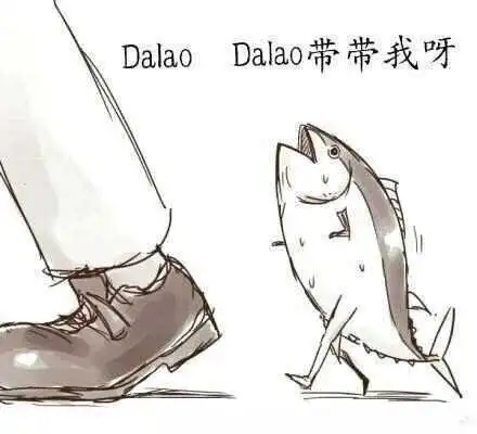 西檬之家字母圈里的s属性是什么意思? 一