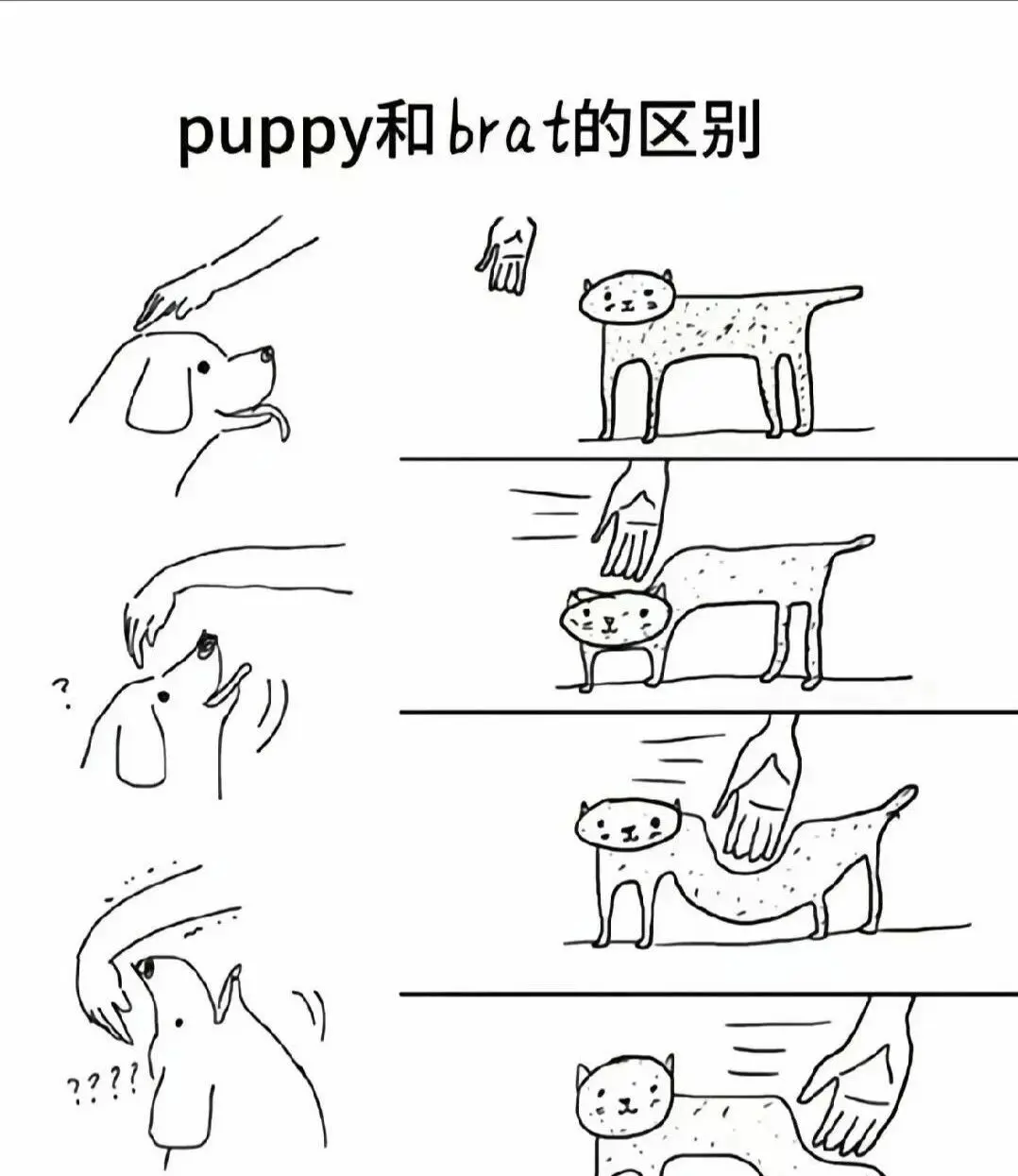 西檬之家Dom是什么意思 一