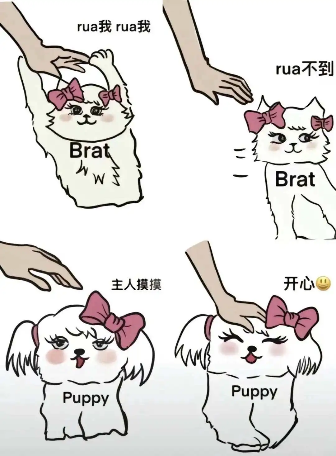 西檬之家什么是s属性?字母圈新人入圈 一