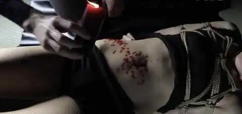 西檬之家Tickle玩法指南:字母圈新人必读 一